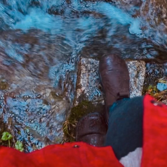 Meet your Posher, Jackie - Picture 1 of 1